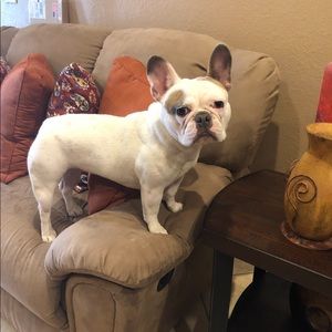 Meet your Posher, Yordanka